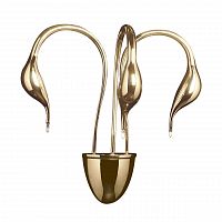 бра lightstar cigno collo 751632 в Астрахани