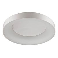 потолочный светодиодный светильник odeon light sole 4062/80cl в Астрахани