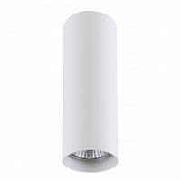 потолочный светильник lightstar rullo 214496 в Астрахани