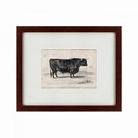 картина: a west highland bull, 1840 в Астрахани