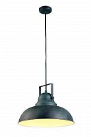 подвесной светильник arte lamp martin a5213sp-1bg в Астрахани