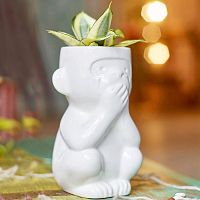 горшок для растений eco молчун в Астрахани
