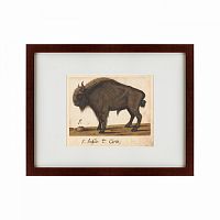 картина: bison, 1560 в Астрахани