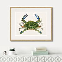 картина: marine life №1, 1725г. в Астрахани