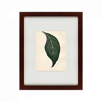 картина: the leaf, 1871 в Астрахани