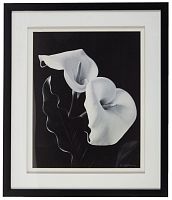 постер с паспарту в раме elegance calla в Астрахани