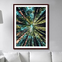 картина: deep forest в Астрахани