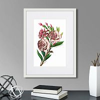картина: caribian flora pink gardenia flower branch, 1740г. в Астрахани