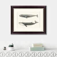 картина: the california gray whale (rhachieanectes claucus), 1857 в Астрахани