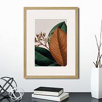 картина: exotic plants of the world №14, 1815г. в Астрахани