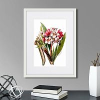 картина: caribian flora pink plumeria flower branch, 1740г. в Астрахани