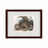 картина: bobcat, 1839 в Астрахани