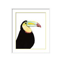 постер toucan разноцветный в Астрахани