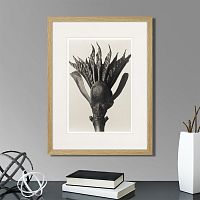 картина: botanical philosophy of forms №8, 1912г. в Астрахани