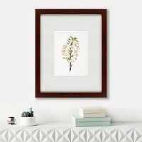 картина: pear tree flowers (pyrus calleryana), 1830 в Астрахани