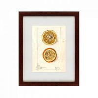 картина: watercolor collection, drawing №5, 1910 в Астрахани
