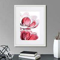 картина: himalaya plants pink-flower on white iii, 1869г. в Астрахани