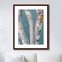 картина: trees on the galapagos islands, ecuador no1 в Астрахани