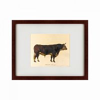 картина: the bull, 1797 в Астрахани