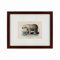 картина: white polar bear on an ice, 1830 в Астрахани