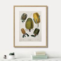 картина: exotic plants of the world №1, 1815г. в Астрахани