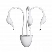 бра lightstar cigno collo wt 751636 в Астрахани