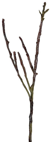 декор dry branches в Астрахани