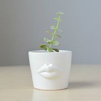 набор для выращивания eco мини-кашпо «губы» в Астрахани