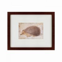картина: a hedgehog, 1584 в Астрахани