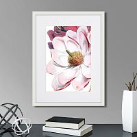 картина: himalaya plants pink-flower on white ii, 1869г. в Астрахани
