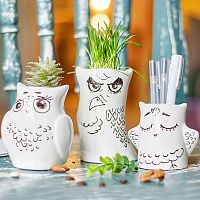 горшки для растений eco совы, 3 шт в Астрахани
