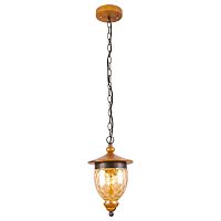 подвесной светильник arte lamp catena a6711sp-1br в Астрахани