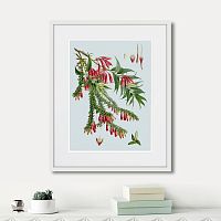 картина: himalaya plants red flower branch, 1869г. в Астрахани