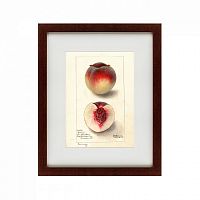 картина: watercolor collection, drawing №4, 1905 в Астрахани