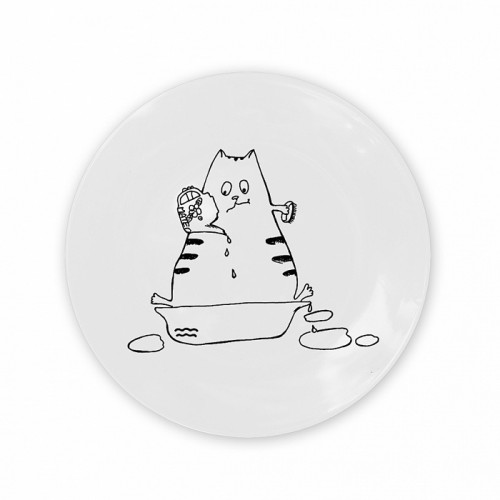 тарелка кот-водолей в Астрахани