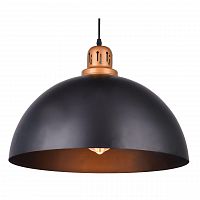 подвесной светильник arte lamp eurica a4249sp-1bk в Астрахани