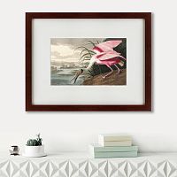 картина: roseate spoonbill, 1827 в Астрахани