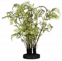 декор ferns в Астрахани