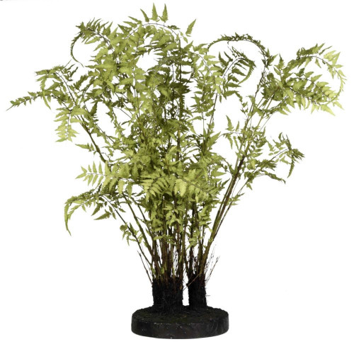 декор ferns в Астрахани