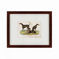 картина: three african bloodhounds, 1830 в Астрахани