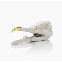 шкатулка для украшений bird skull (белый) в Астрахани