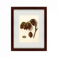 картина: watercolor collection, drawing №3, 1909 в Астрахани