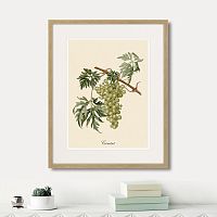 картина juicy fruit lithography №13, 1870 г., 42х52 см в Астрахани