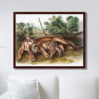 картина: the cougar, 1850г. в Астрахани