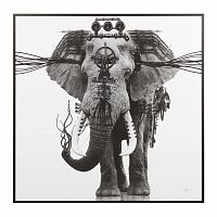 постер ornate elephant черный в Астрахани