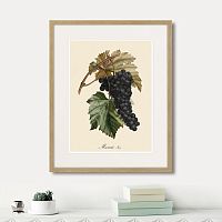 картина: juicy fruit lithography №12, 1870г. в Астрахани