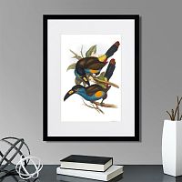 картина: toucans №4, 1849г. в Астрахани