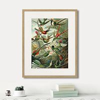 картина: art forms of nature №1, 1897г. в Астрахани