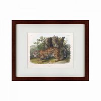 картина: jaguar, 1841 в Астрахани