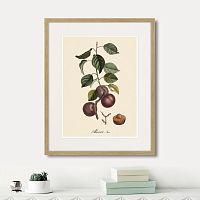 картина: juicy fruit lithography №6, 1870г. в Астрахани